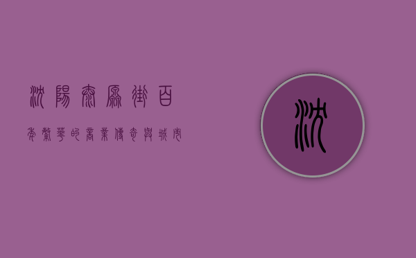 沈阳太原街，百年繁华的商业传奇与城市记忆