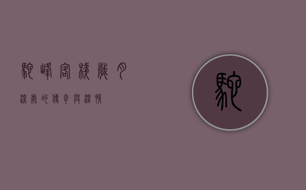 驼峰客栈，岁月深处的传奇与温情