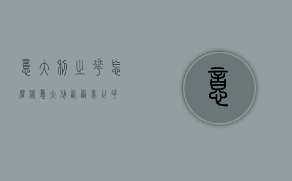 意大利之花怎么样（意大利西西里之花）