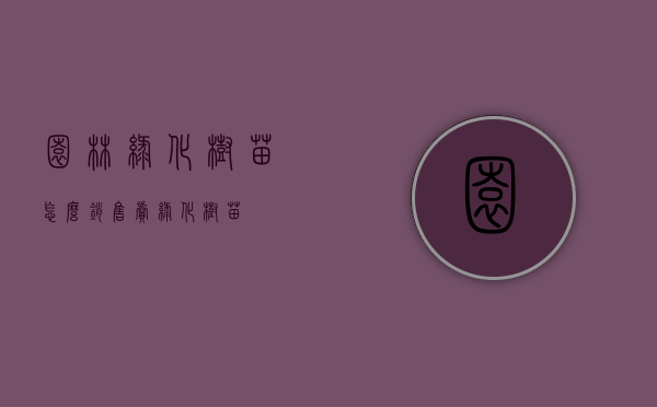 园林绿化树苗怎么销售（卖绿化树苗）