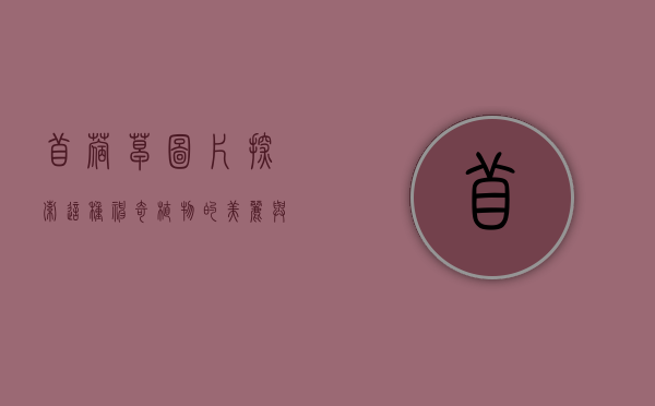苜蓿草图片，探索这种神奇植物的美丽与价值