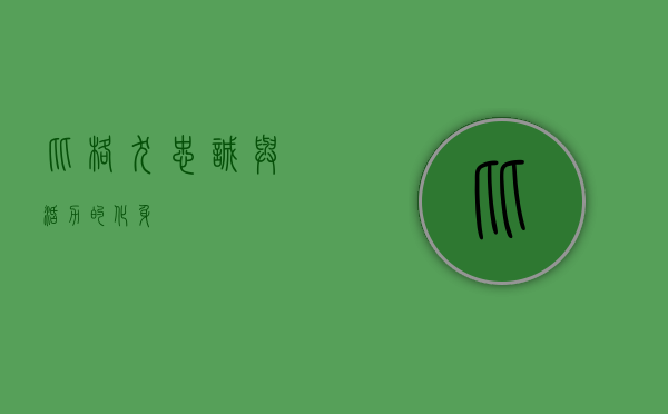 比格犬，忠诚与活力的化身