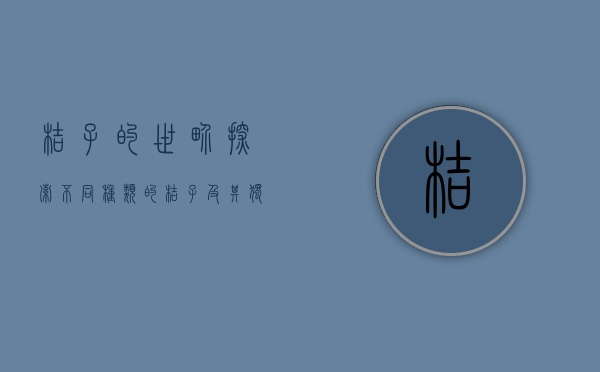 桔子的世界，探索不同种类的桔子及其独特魅力