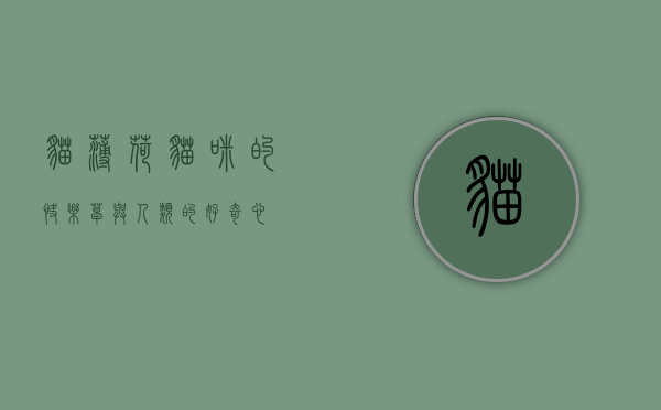 猫薄荷，猫咪的快乐草与人类的好奇心