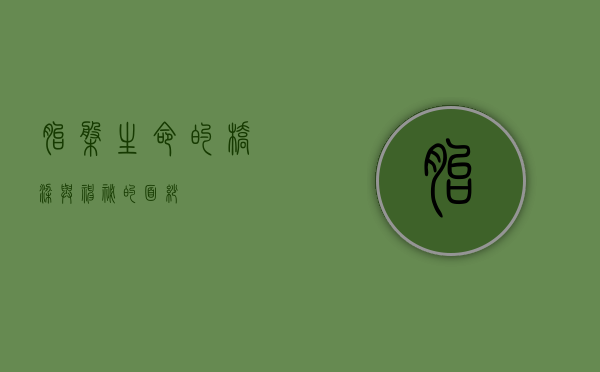 胎盘，生命的桥梁与神秘的面纱