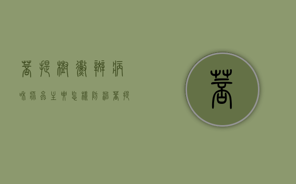 菩提树霉斑病和疥虫主要怎样防治？菩提树病虫害防治（菩提树的养护管理）