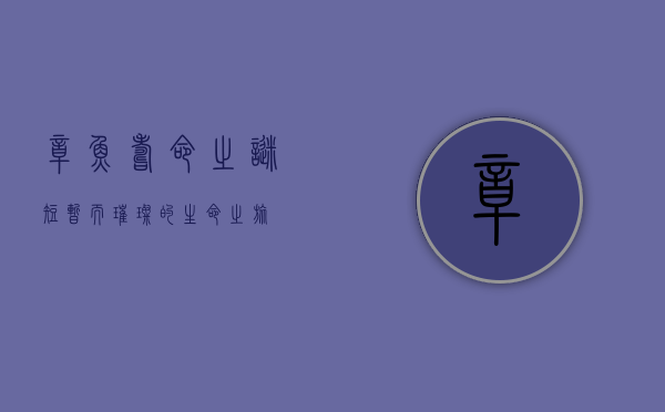 章鱼寿命之谜，短暂而璀璨的生命之旅