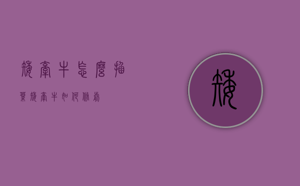 矮牵牛怎么掐叶（矮牵牛如何修剪）