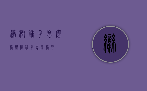 栾树种子怎么种（栾树种子怎么种好）