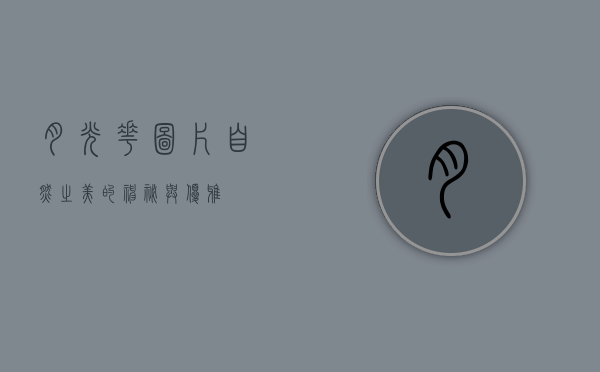月光花图片，自然之美的神秘与优雅