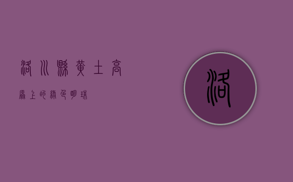 洛川县，黄土高原上的绿色明珠