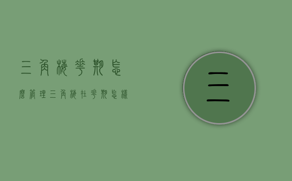 三角梅花期怎么管理（三角梅在花期怎样管理）