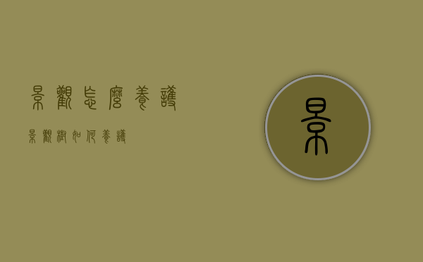 景观怎么养护（景观树如何养护）