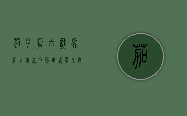 茄子苍白蓟马（茄子棚里的蓟马严重怎么办）