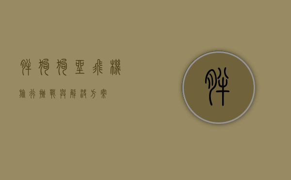 胖狗狗坐飞机旅行，挑战与解决方案