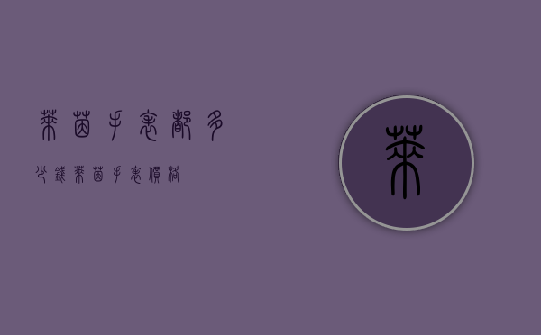 莱茵手表都多少钱（莱茵手表价格）