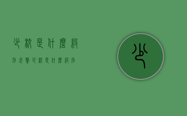 少校是什么级别（武警少校是什么级别）