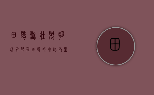 田阳县，壮乡明珠，文化与自然的和谐共生