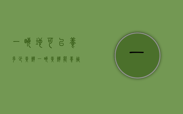 一亩地可以养多少黄鳝（一亩黄鳝能养殖出多少斤黄鳝呢?）