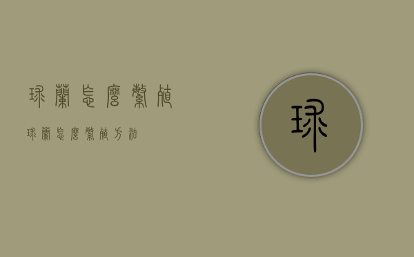 球兰怎么繁殖（球兰怎么繁殖方法）