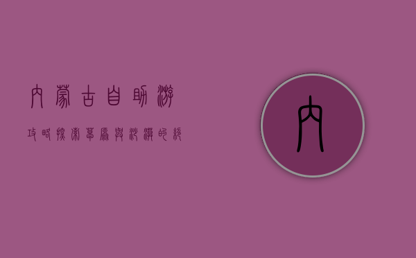 内蒙古自助游攻略，探索草原与沙漠的绝美风光