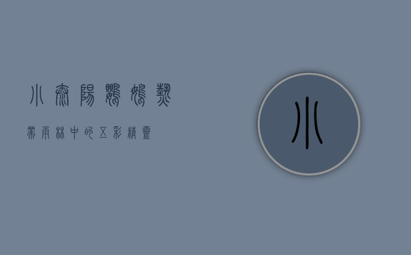 小太阳鹦鹉，热带雨林中的五彩精灵