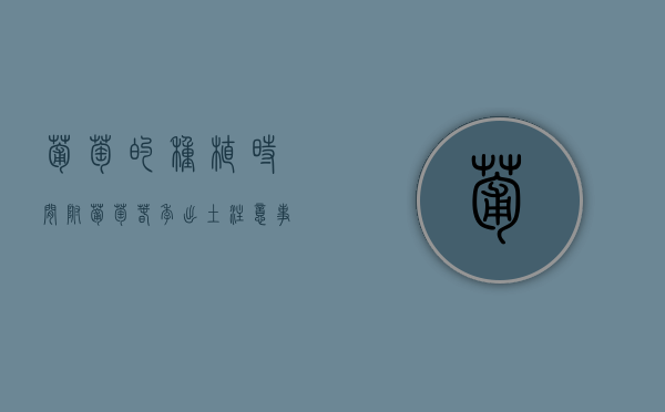 葡萄的种植时间，附葡萄春季出土注意事项（葡萄苗栽植时间）