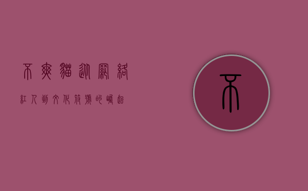 不爽猫，从网络红人到文化符号的崛起