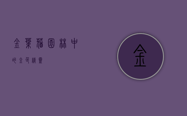 金叶莸,园林中的金色精灵 金叶莸,园林中的金色精灵