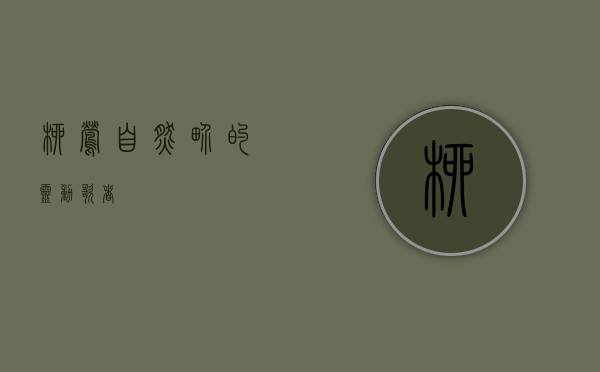 柳莺，自然界的灵动歌者