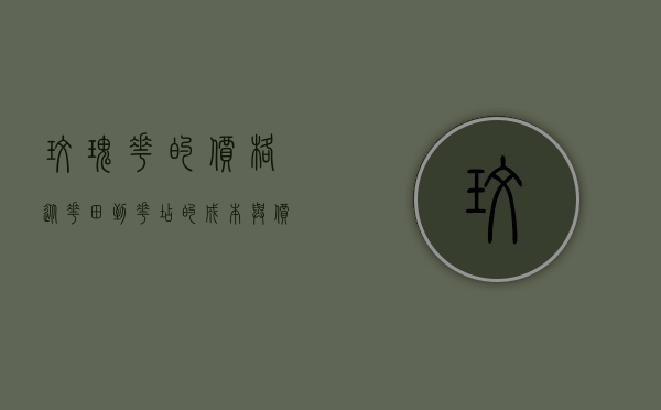 玫瑰花的价格，从花田到花店的成本与价值解析