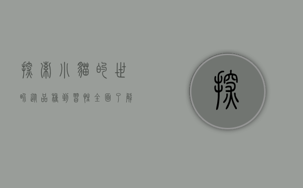 探索小猫的世界，从品种到习性，全面了解你的毛茸茸伙伴