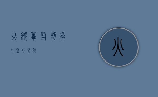 火绒草，坚韧与希望的象征
