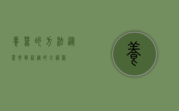 养蚕的方法，从蚕卵到丝绸的全过程