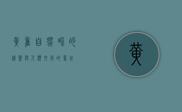 黄雀，自然界的精灵与人类文化的象征