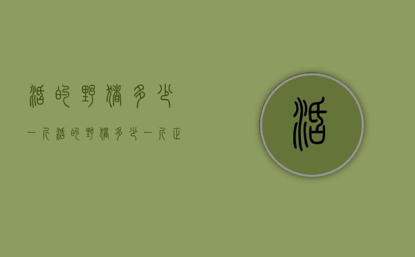 活的野猪多少一斤（活的野猪多少一斤正常）