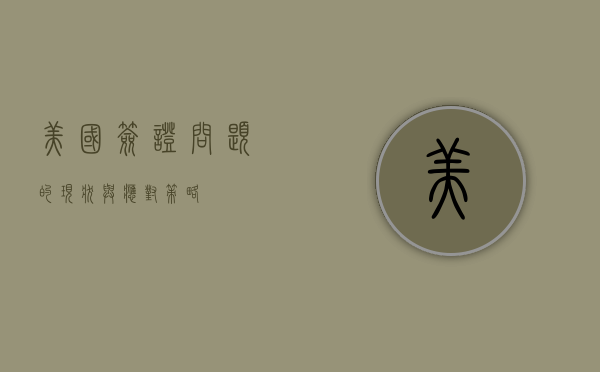 美国签证问题的现状与应对策略