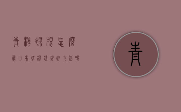 青枫裸根怎么卖（日本红枫裸根好成活吗）