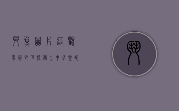 斗鱼图片,从观赏到文化,探索水中精灵的视觉魅力 斗鱼图片,从观赏到文化,探索水中精灵的视觉魅力