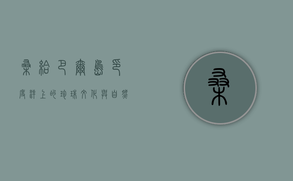桑给巴尔岛，印度洋上的珍珠，文化与自然的交融