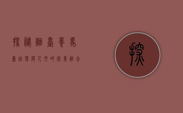 探秘烟台养马岛，自然与人文的完美融合