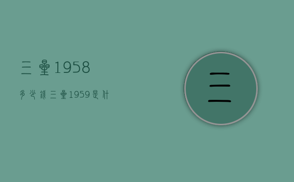 三星1958多少钱（三星1959是什么型号）
