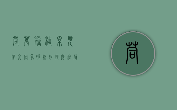 茼蒿种植常见病虫害有哪些 如何防治茼蒿病虫害（茼蒿蚜虫危害症状有哪些）