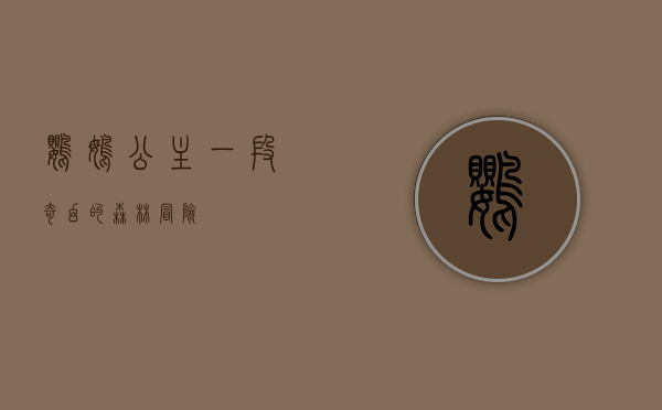鹦鹉公主，一段奇幻的森林冒险