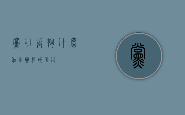 党组发挥什么作用（党组的作用）