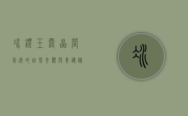 冰灯玉露，晶莹剔透的自然奇观与养护秘籍
