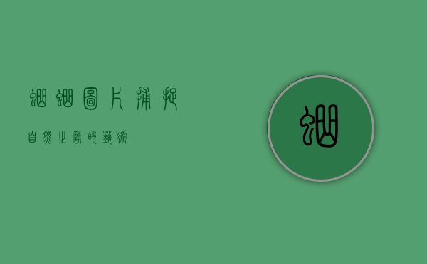 蛐蛐图片，捕捉自然之声的艺术
