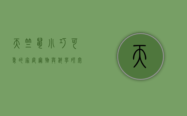 天竺鼠，小巧可爱的家庭宠物与科学研究的伙伴