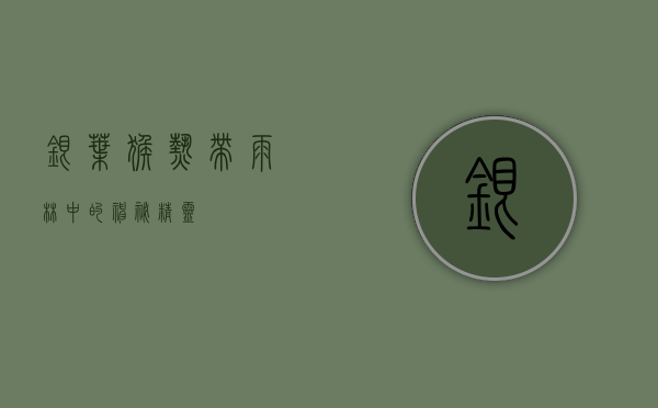 银叶猴，热带雨林中的神秘精灵