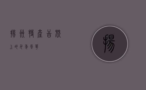 扬州特产，舌尖上的千年风华
